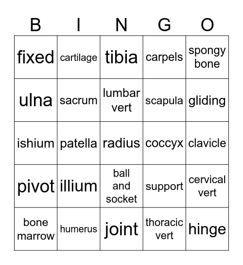Skeletal System Bingo Card