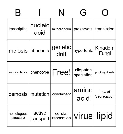 Biology Review Bingo Card