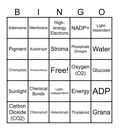HS Photosynthesis Bingo Card