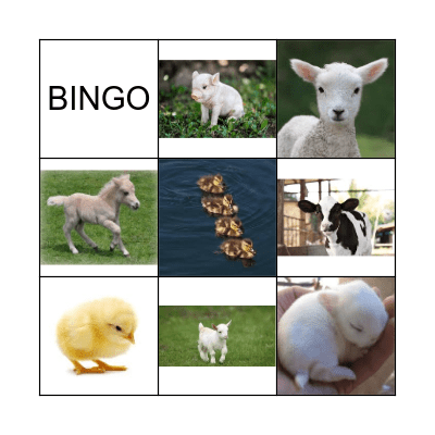 Baby Animal Bingo Card