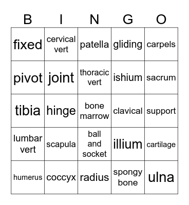 Skeletal System Bingo Card