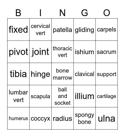 Skeletal System Bingo Card