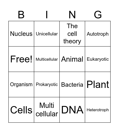 Characteristics of Organisms Bingo Card