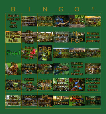 Bingo 3/5/2026 Bingo Card