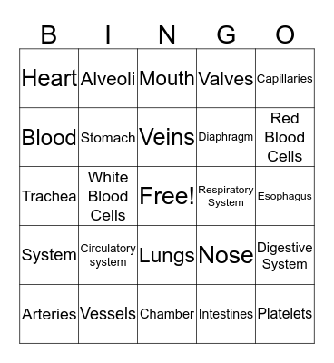 Human Body Systems Bingo Card