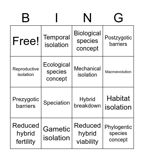 Chapter 24 Vocabulary Terms Bingo Card
