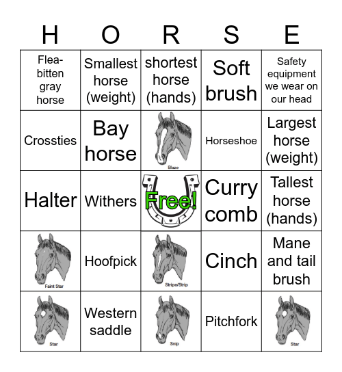 CHP Around the Barn BINGO! Bingo Card