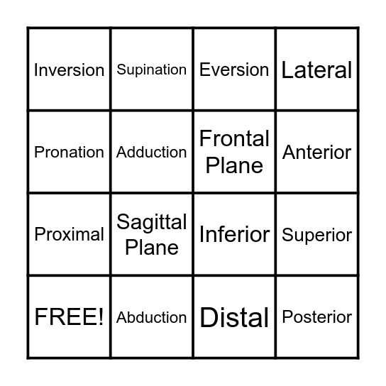 Anatomical Terms BINGO Card