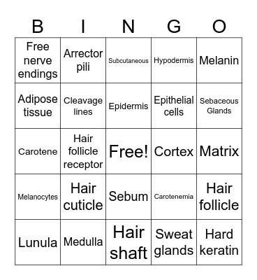 Integumentary System Bingo Card