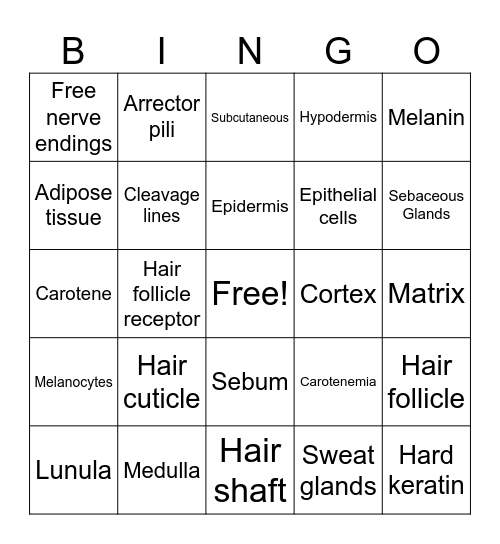 Integumentary System Bingo Card