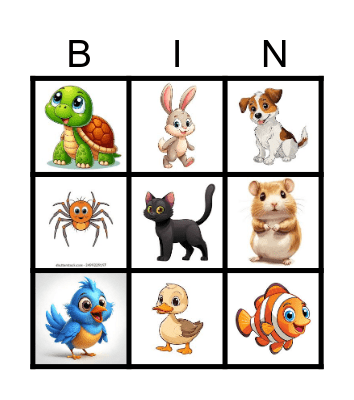 PETS Bingo Card