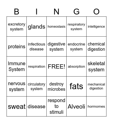 HUMAN BODY Bingo Card