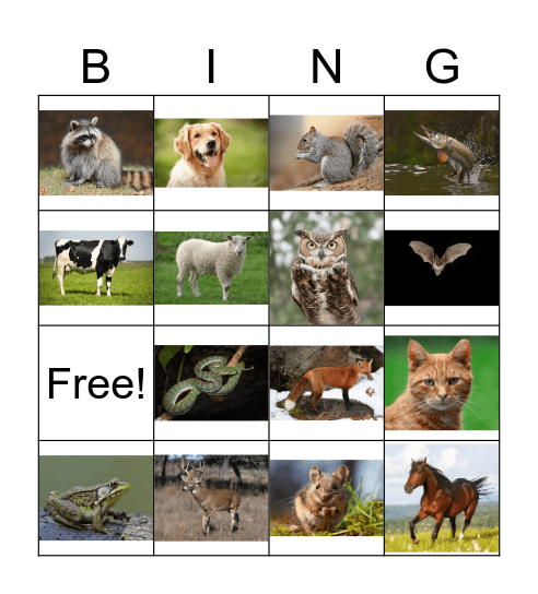 Animal Bingo Card