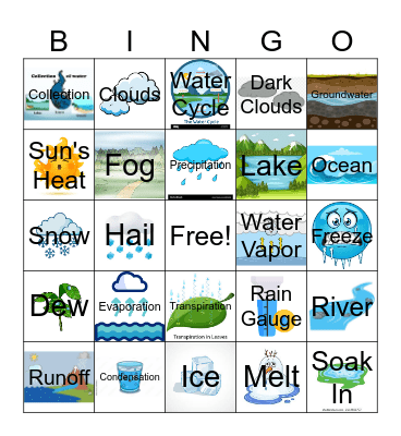 The Water Cycle Bingo Card