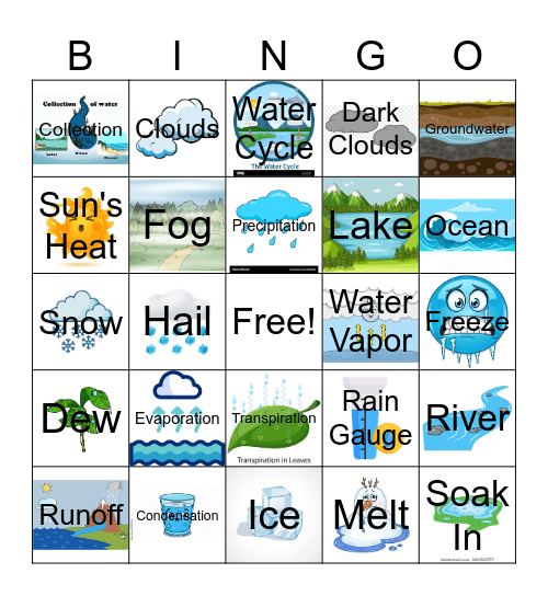 The Water Cycle Bingo Card