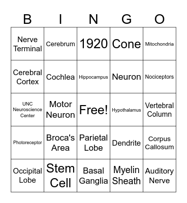 Carolina Neuroscience Bingo! Bingo Card