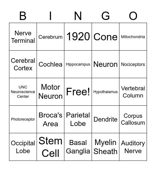 Carolina Neuroscience Bingo! Bingo Card