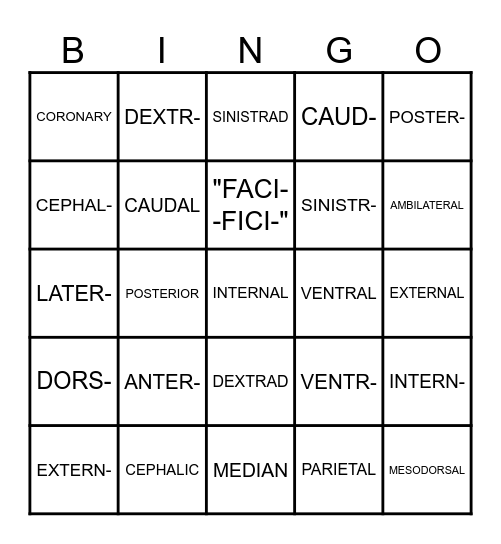 Medical Terminology -Chapter 1- Bingo Card