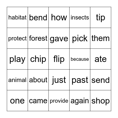 SUMMER SCHOOL Bingo Card