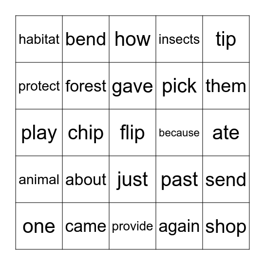 SUMMER SCHOOL Bingo Card