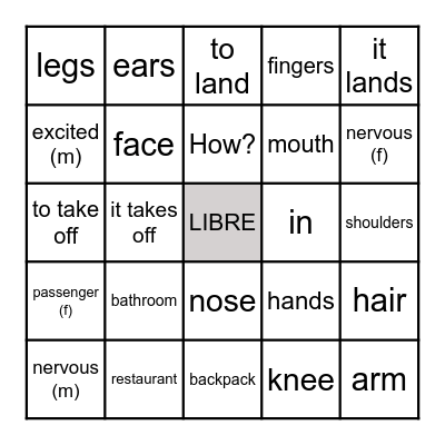 Airport and Body Vocabulary Bingo Card