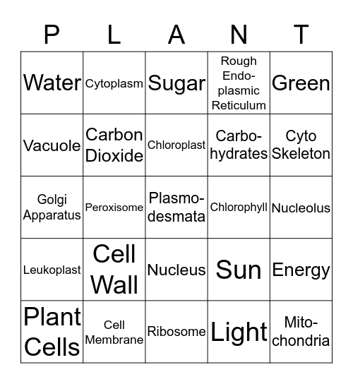 PLANT CELLS Bingo Card