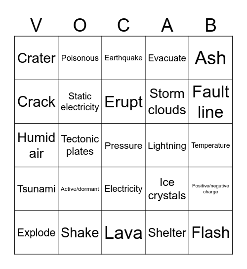 Natural Disasters Bingo Card