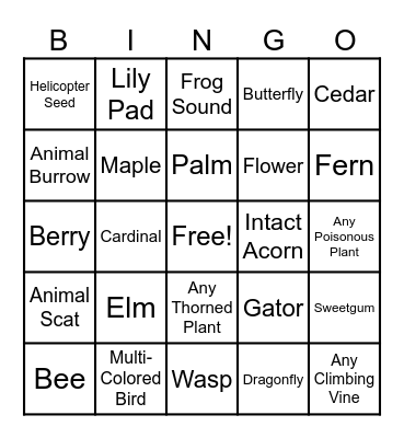 Nature Bingo! Bingo Card