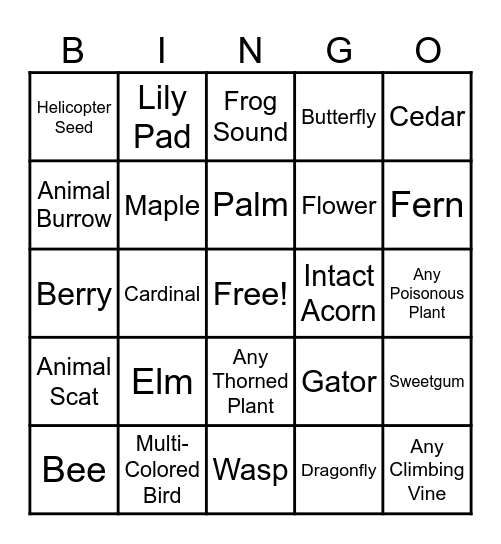 Nature Bingo! Bingo Card