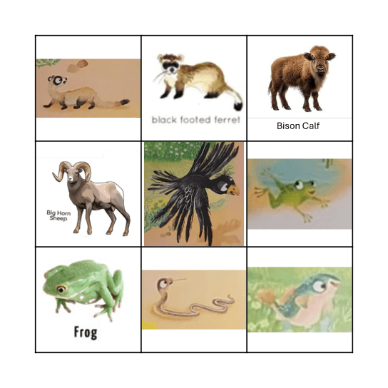 Buffalo Fluffalo and Puffalo Bingo Card