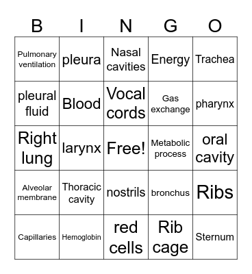 Respiratory System Bingo Card