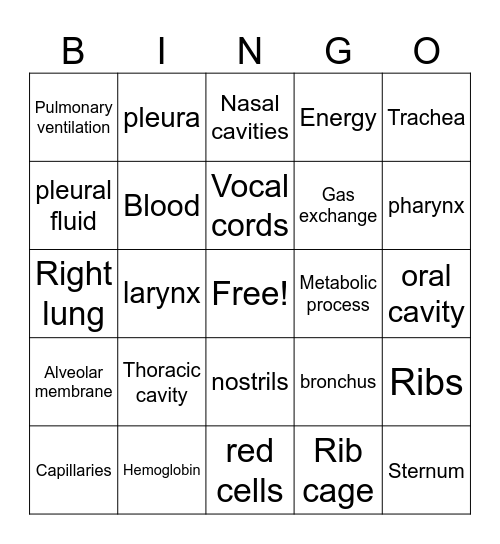 Respiratory System Bingo Card