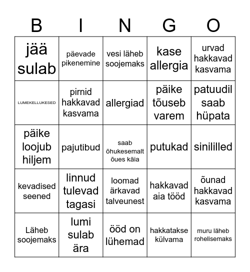 Kevad Bingo Card
