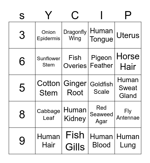 Microscope Bingo Card
