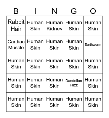 Microscope Bingo Card