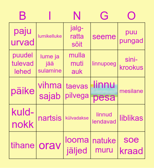 Mida võib näha kevadel? Bingo Card