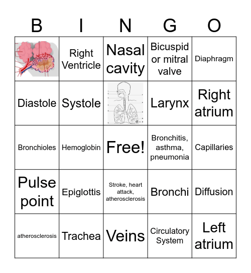 Circulatory and Respiratory System Bingo Card