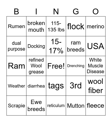 Sheep 4H Bingo Card