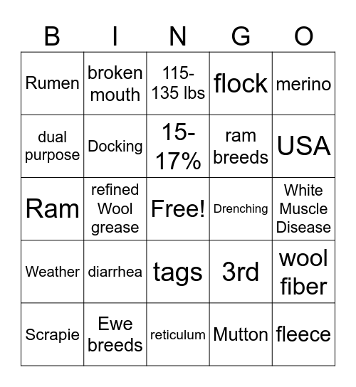 Sheep 4H Bingo Card