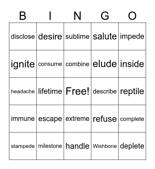 Silent E Bingp Bingo Card