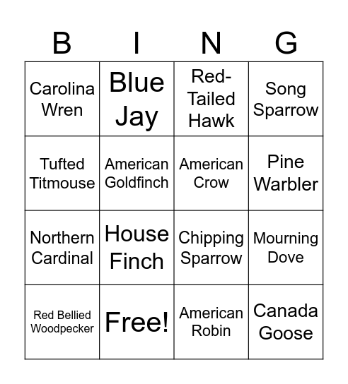 Birdy Bingo Card