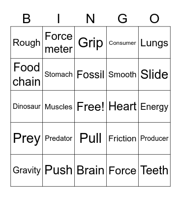 Science Challenge Bingo Card