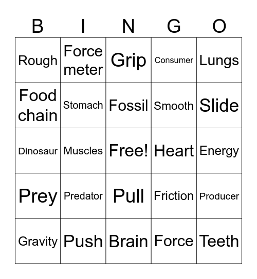 Science Challenge Bingo Card