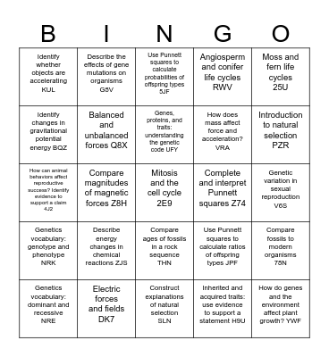 8th Grade Review Bingo Card