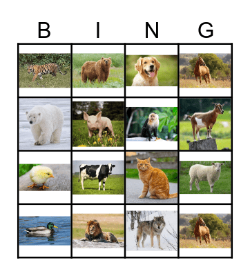 Animal Sound Bingo Card
