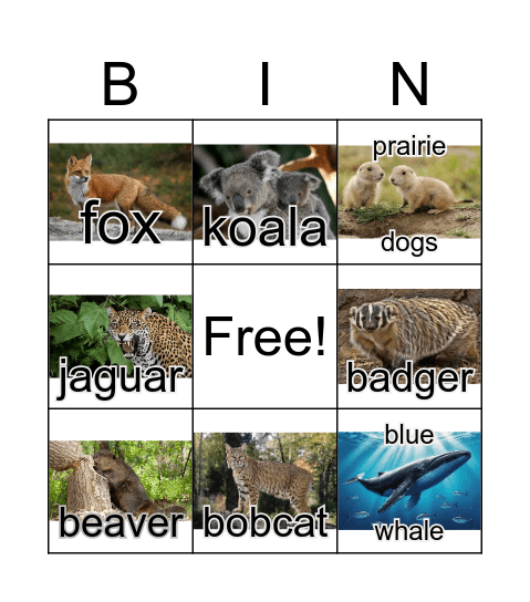 Mammals Bingo Card