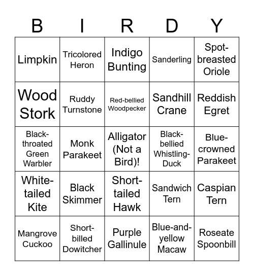 South FL Birding Bingo Card