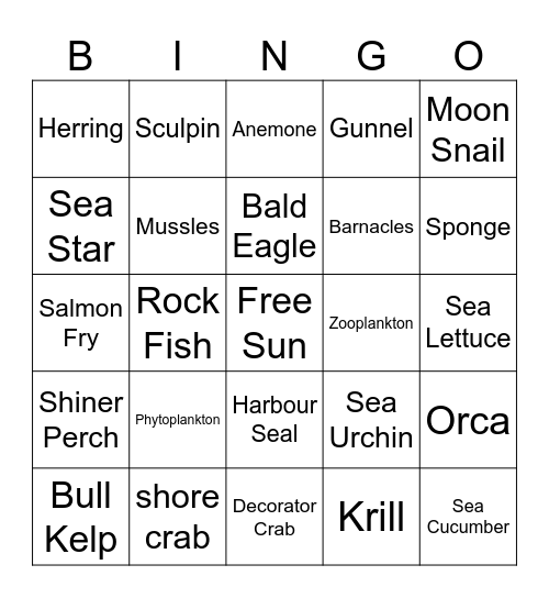 Marine Bingo Card