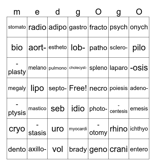 midterm Bingo Card