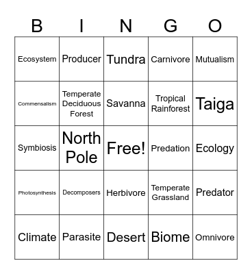 Biomes Bingo Card